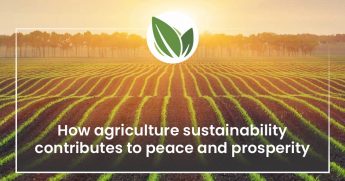 How agriculture sustainability contributes to peace and prosperity