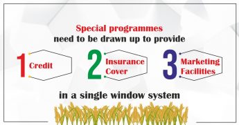 Special programmes need to be drawn up to provide credit, insurance cover and marketing facilities in a single window system