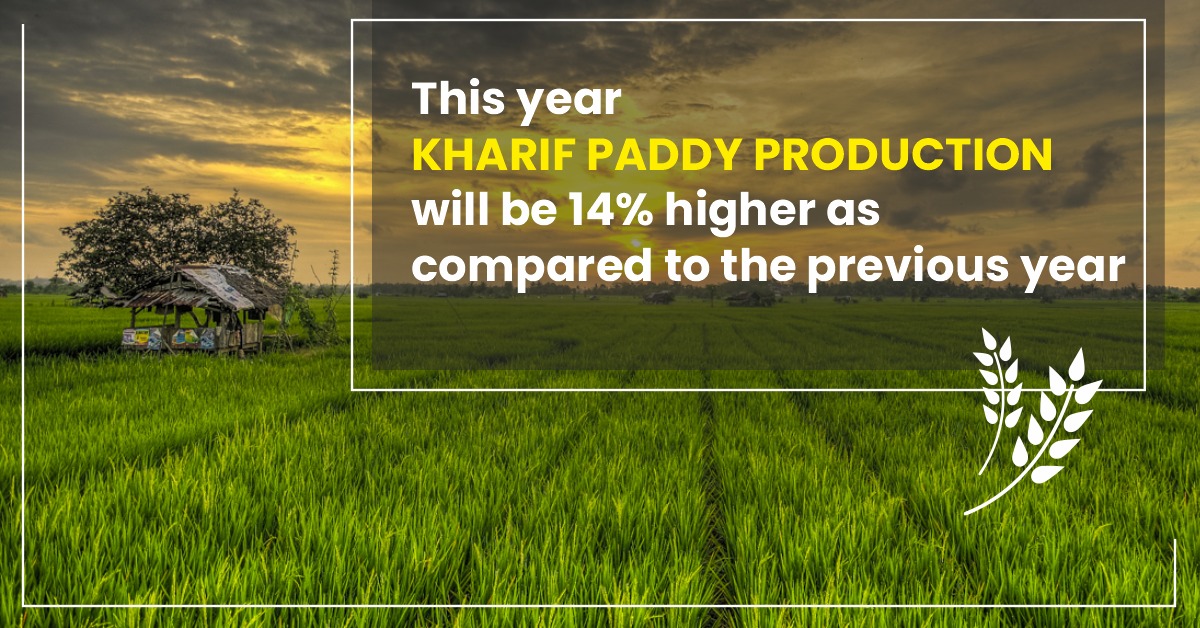 This year Kharif Paddy production will be 14% higher as compared to the previous year