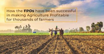 How the FPOs have been successful in making agriculture profitable for thousands of farmers
