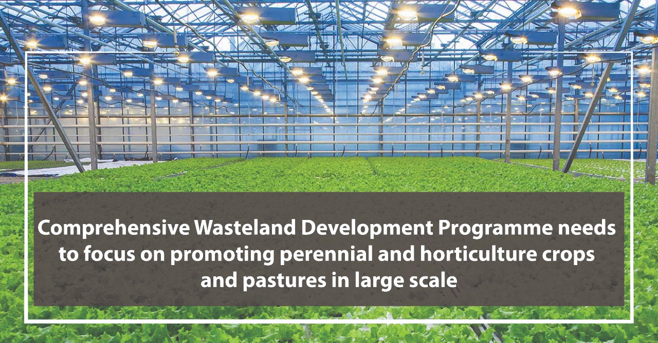 Integrated Wasteland Development Programme needs to focus on promoting perennial and horticulture crops and pastures on large scale