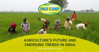Agriculture’s Future and Emerging Trends in India
