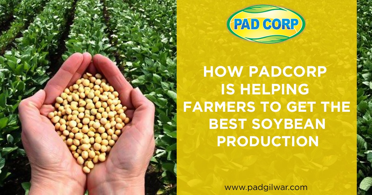 HOW PADCORP IS HELPING FARMERS TO GET THE BEST SOYBEAN PRODUCTION