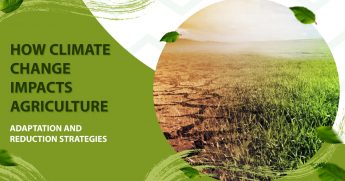 HOW CLIMATE CHANGE IMPACTS AGRICULTURE