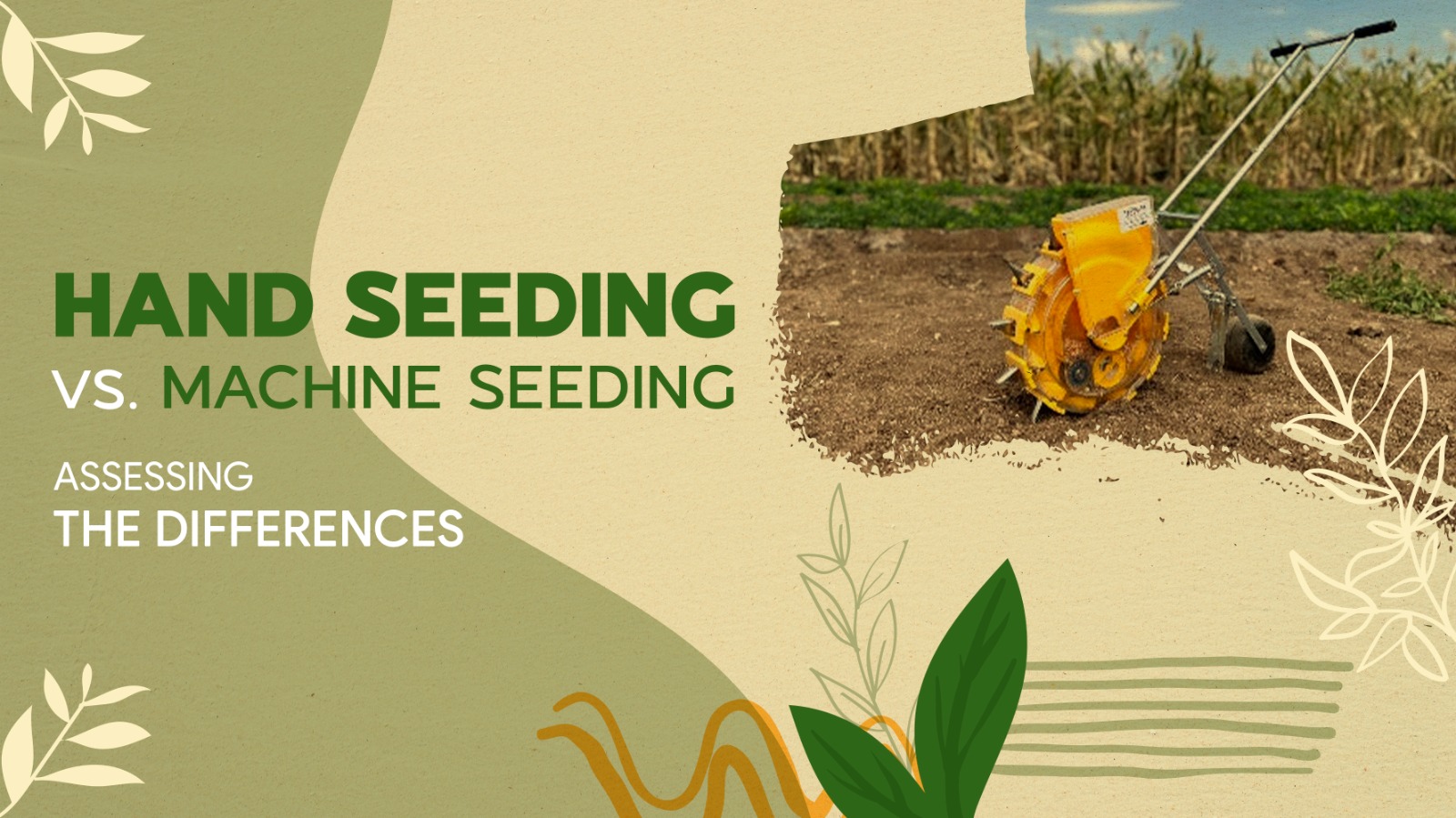 Hand Seeding vs. Machine Seeding: Assessing the Differences