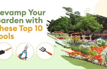 Revamp Your Garden with These Top 10 Tools