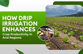 How Drip Irrigation Enhances Crop Productivity in Arid Regions