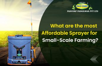What Are the Most Affordable Sprayers for Small-Scale Farming